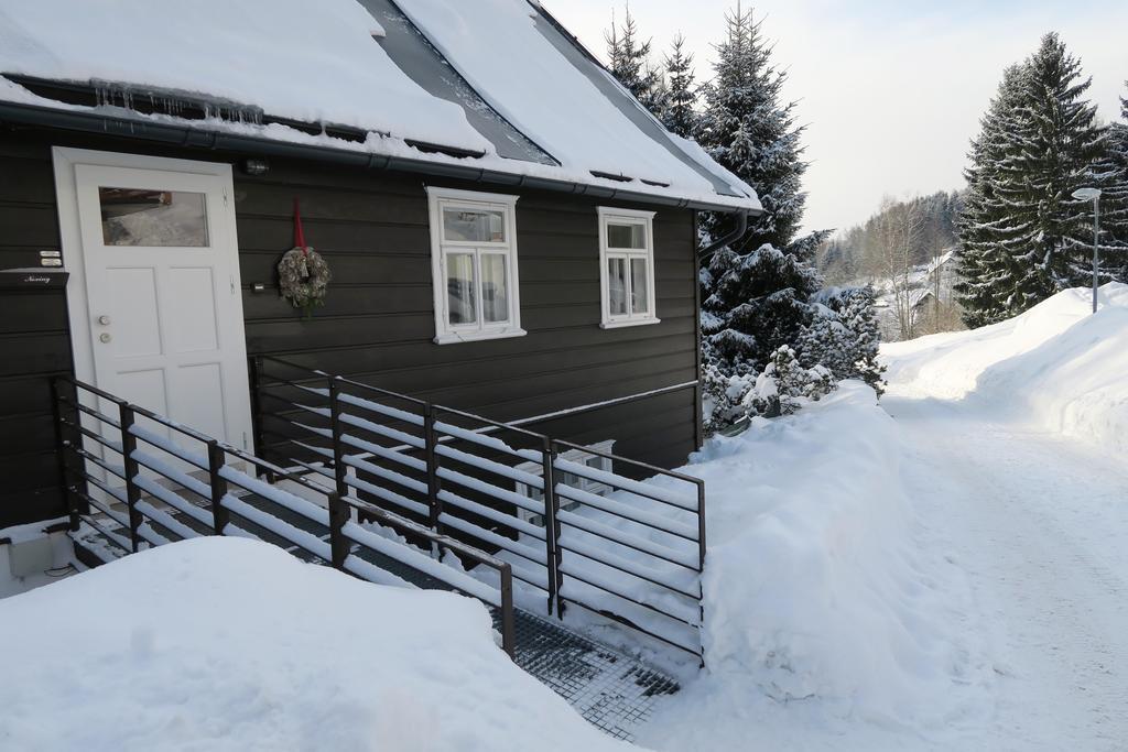 Apartament Horska U Vleku *